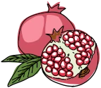 Granatapfelkerne enthalten viele Polyphenole, Zutat in Smoothiepulver Rot Aufgeschnittener Granatapfel mit Granatapfelkernen, die viele Polyphenole enthalten