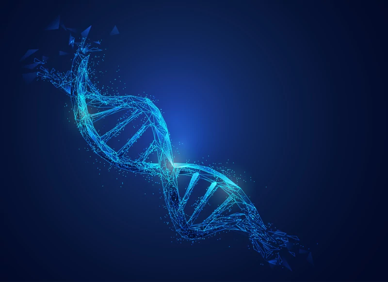 Tiefer Einblick in die Studienlage zu Pflanzenpulvern (Smoothiepulvern) und Longevity Wissenschaft der Pflanzen: Smoothiepulver mit tiefen wissenschaftlichen Einblicken Ernährungswissenschaft und Longevity