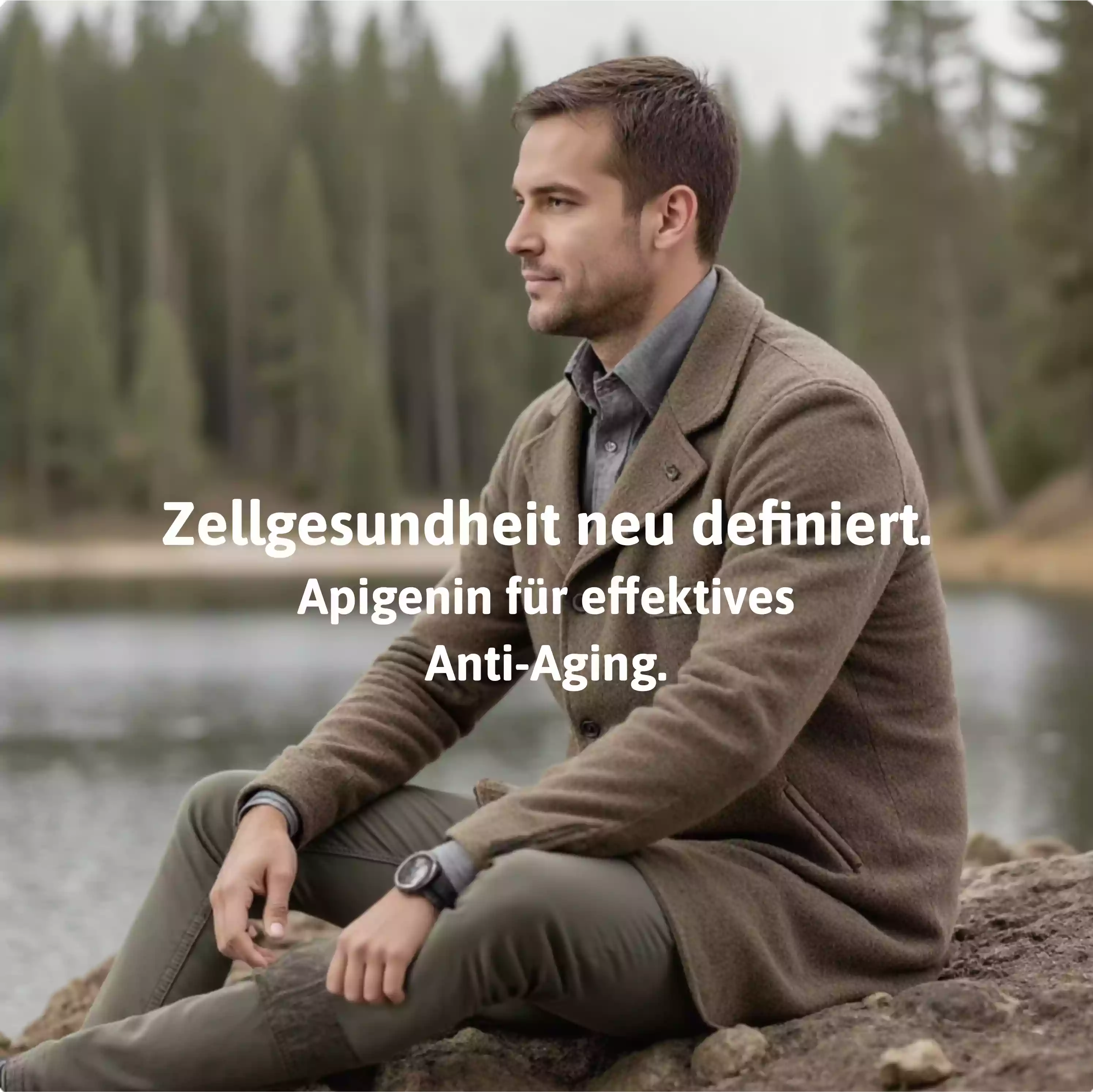 Apigenin Gesundheit Apigenin Supplement zur Unterstützung von Gesundheit und Wohlbefinden